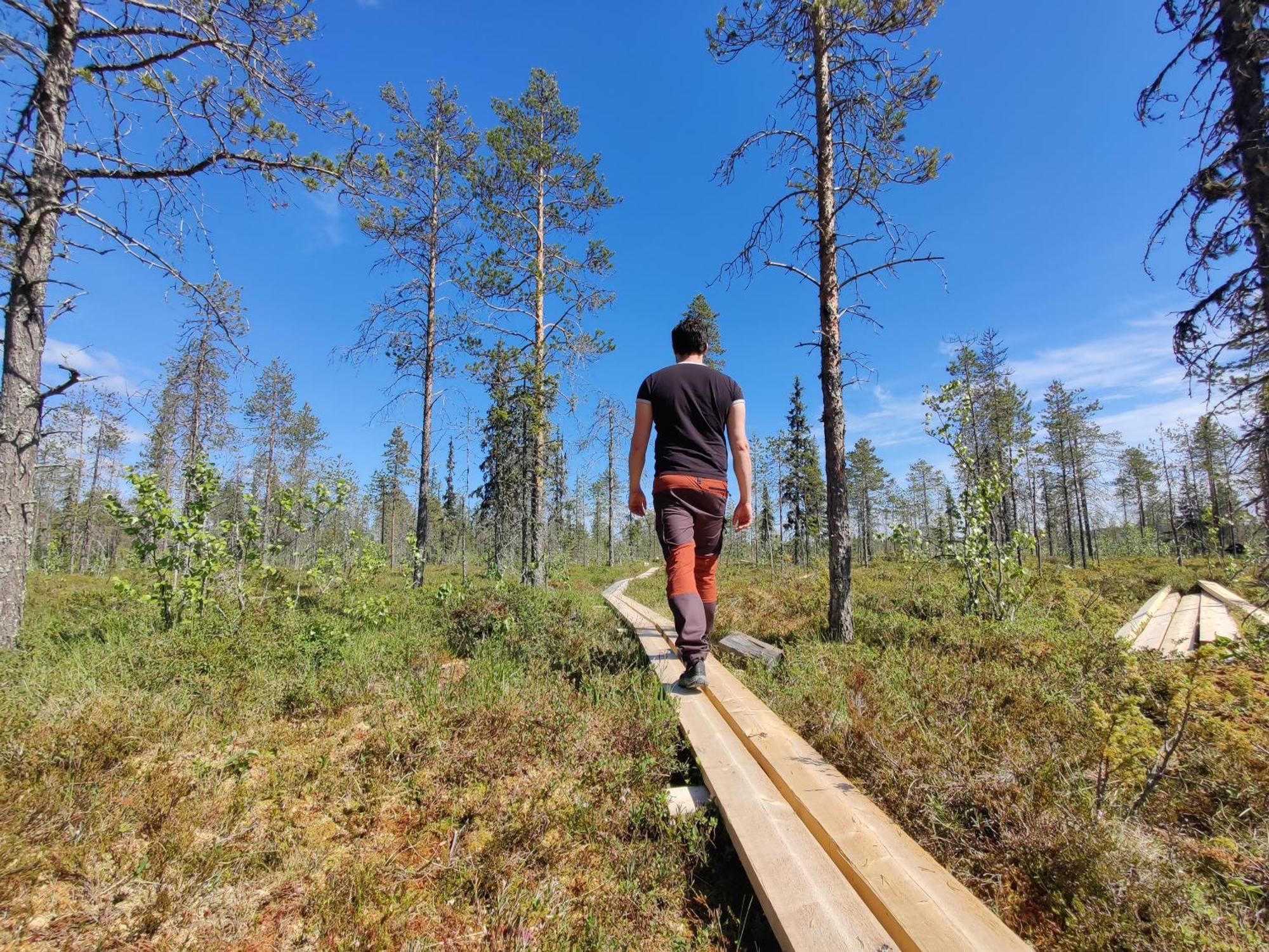 Отель Langforsen Glamping & Lapland Experience Lapptrask Экстерьер фото