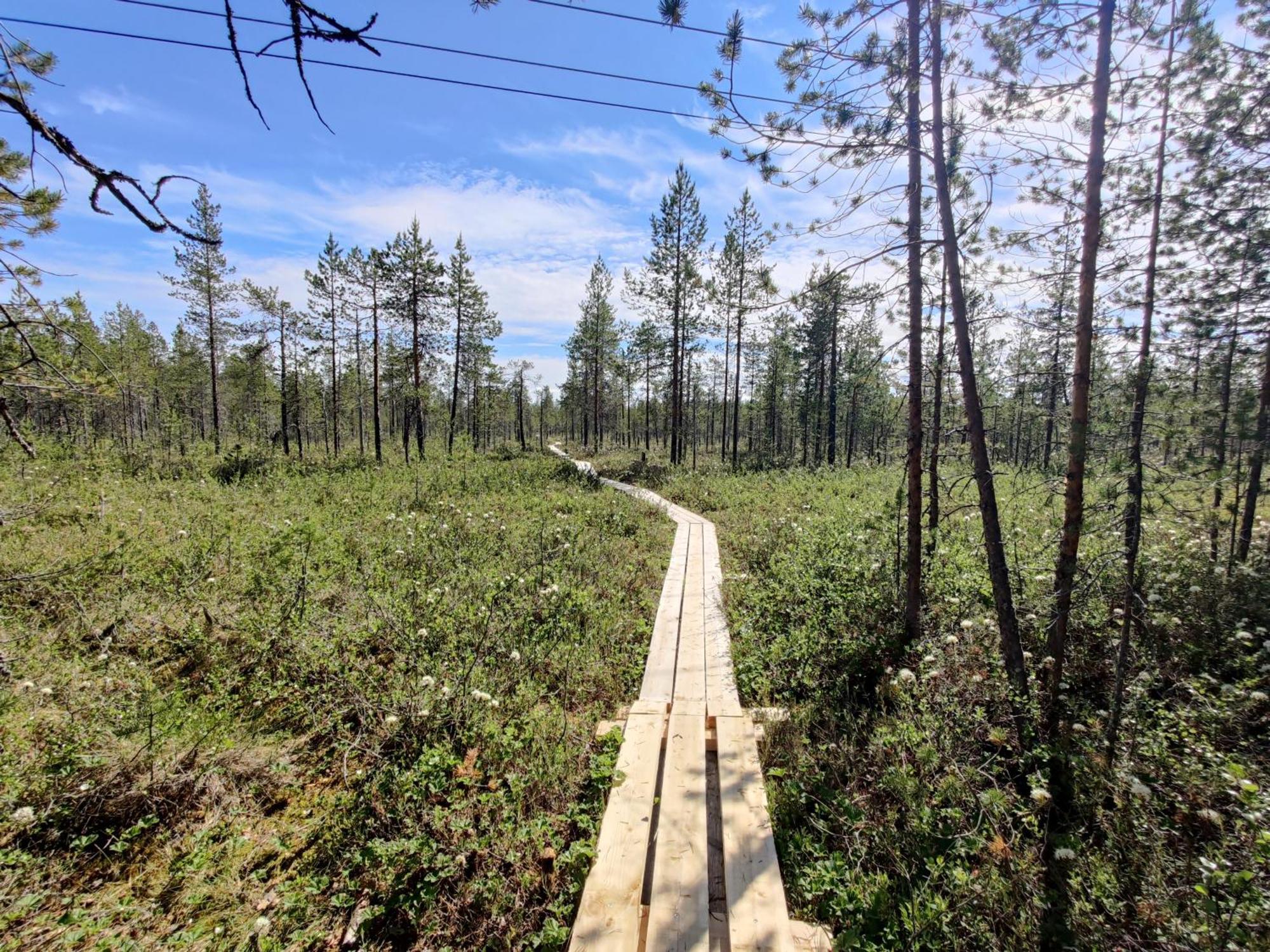 Отель Langforsen Glamping & Lapland Experience Lapptrask Экстерьер фото